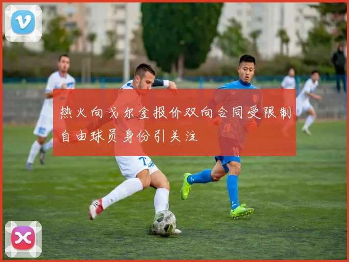 热火向戈尔金报价双向合同受限制自由球员身份引关注